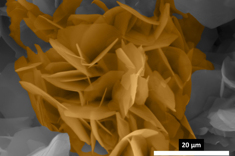 Research Image Award Contest